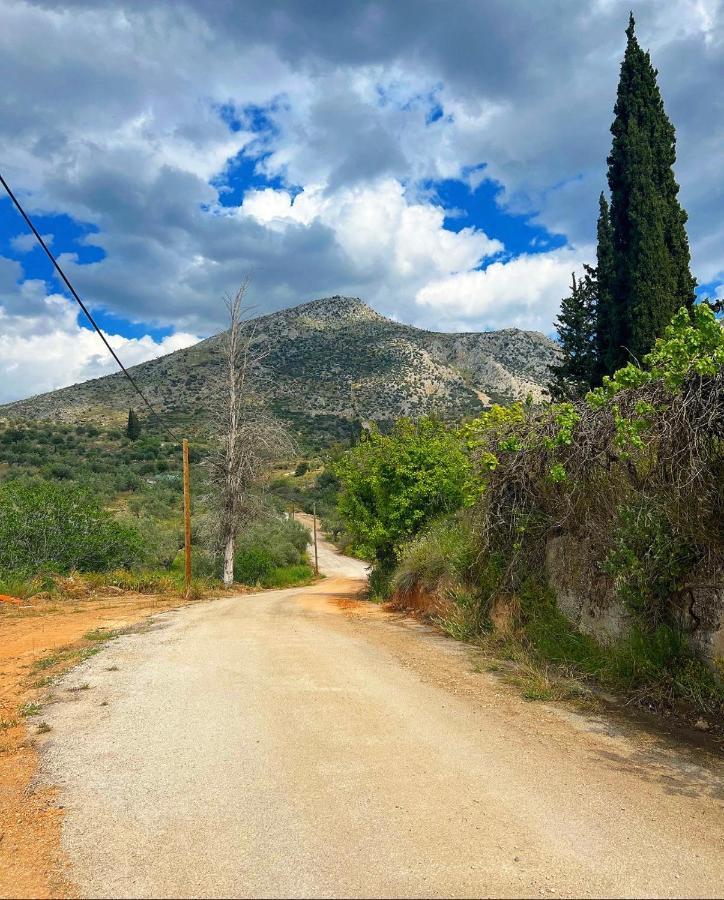 Sunny House At Ancient Mycenae, Close To Nafplio! Mykines Bagian luar foto